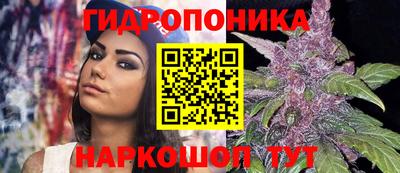 mdpv Ставрополь