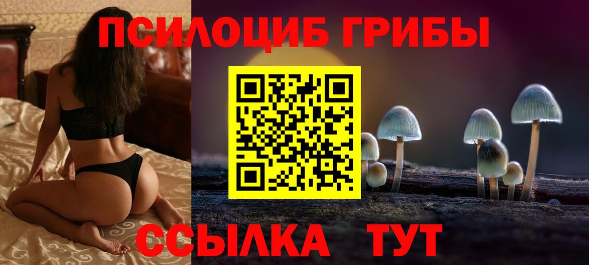 Псилоцибиновые грибы Magic Shrooms Полевской